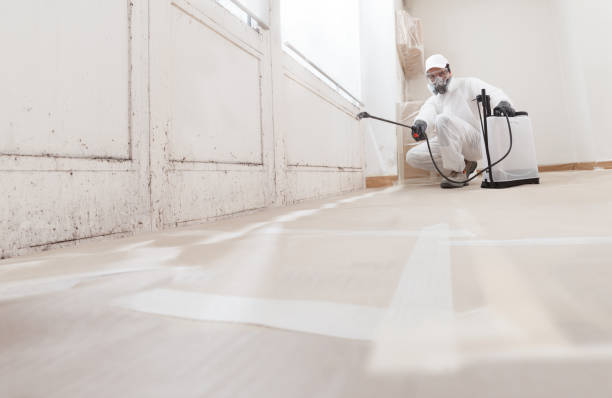 24/7 Emergency Mold Remediation experts in Forest Lake, IL